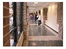 The Glass Hallway